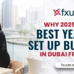 Why 2025 Is the Best Year to Set Up Business in Dubai Free Zone