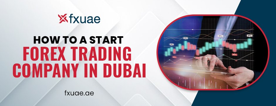 how to a start forex trading company in dubai